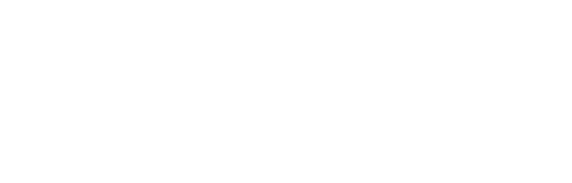 the dress
