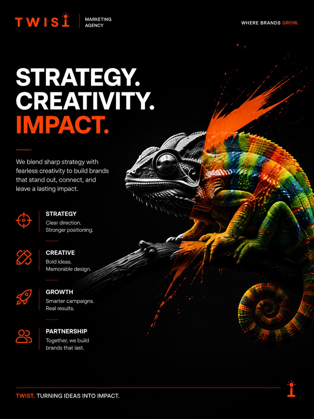 Twist campaign poster 3