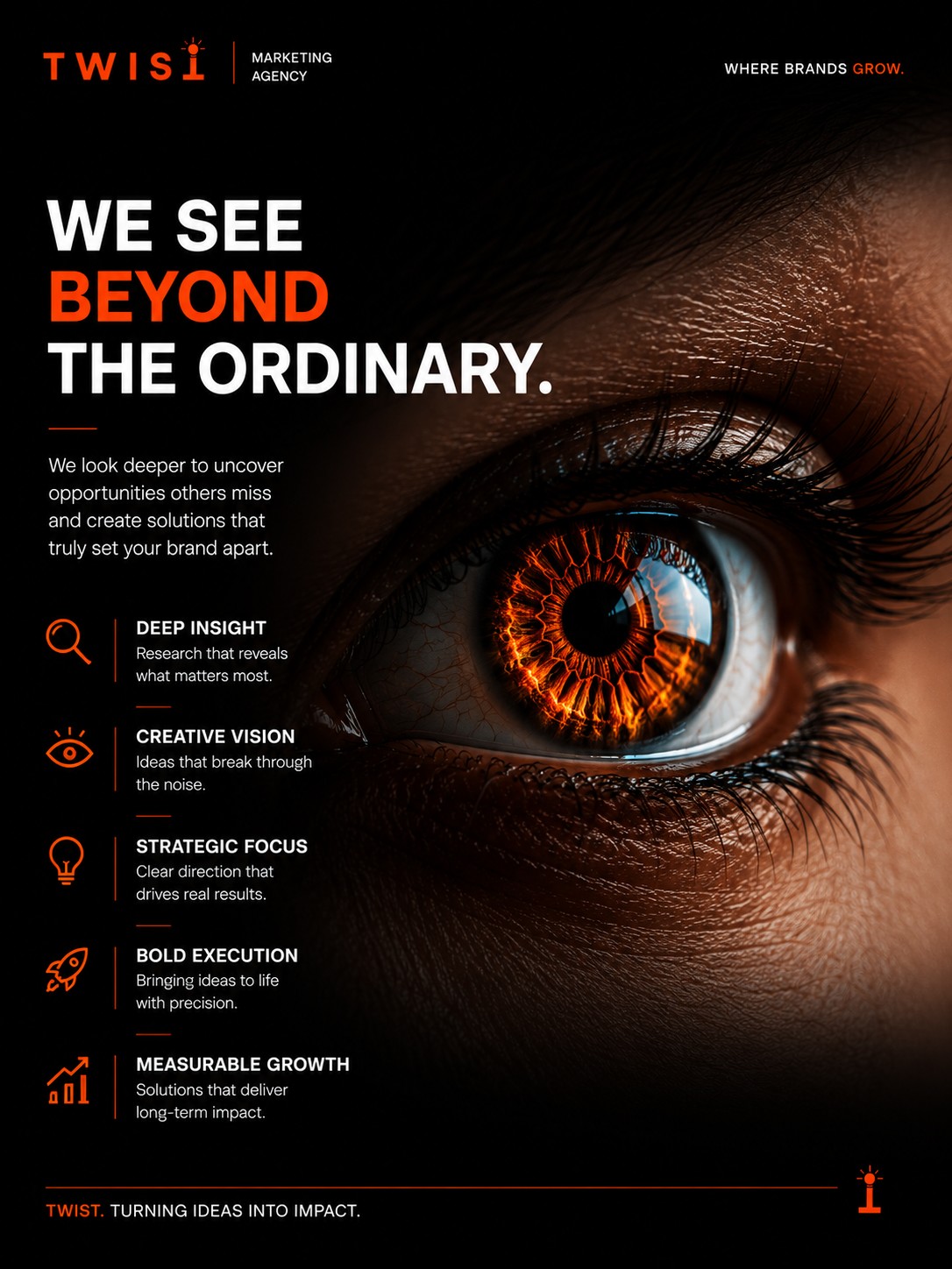 Twist campaign poster 5